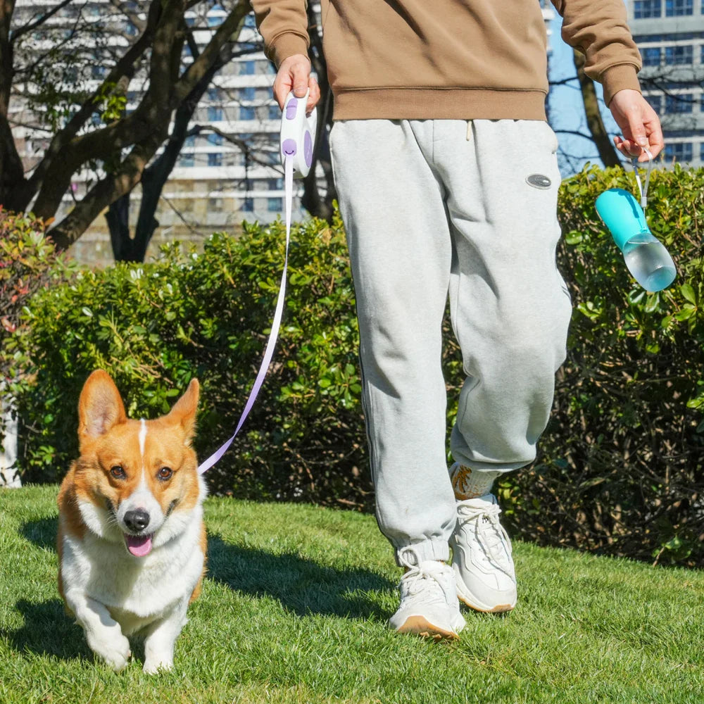 Portable dog water bottle with lanyard for walking and travel