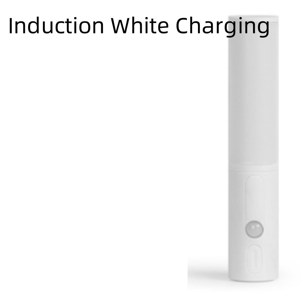 New Style Smart Human Body Induction Motion Sensor LED Night Light for Home Bed Kitchen Cabinet Wardrobe Wall Lamp